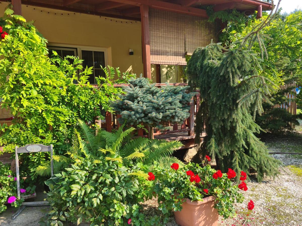 Apartament Malinowa Dolina Клодзко Экстерьер фото