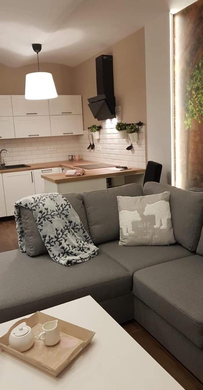 Apartament Malinowa Dolina Клодзко Экстерьер фото